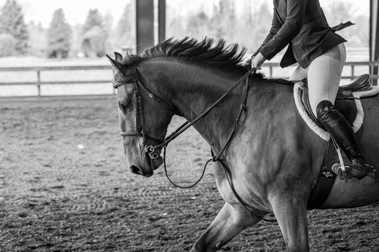 The Fire Horse Is Here: Shedding the Snake, Stepping Into Courage, and Entering a Bold New Chapter